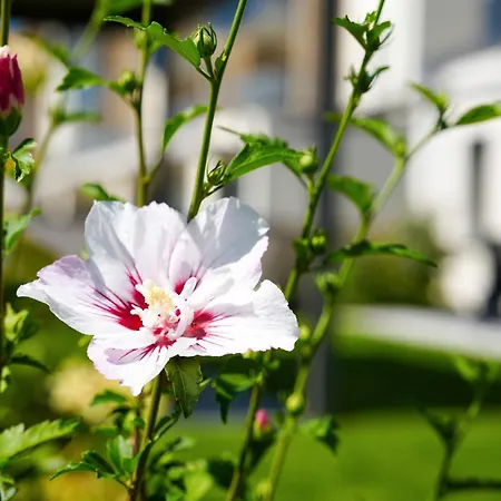 アパート 101-freiburg *