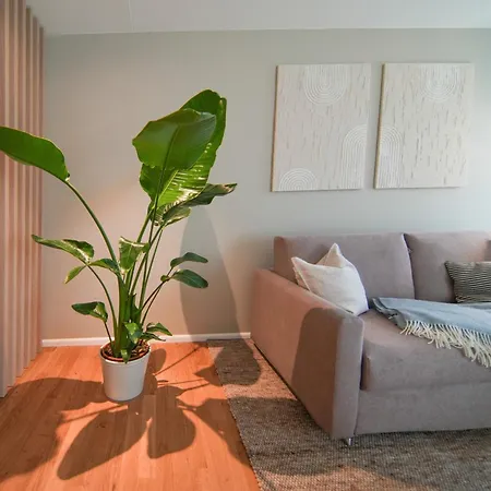 101-freiburg フライブルク