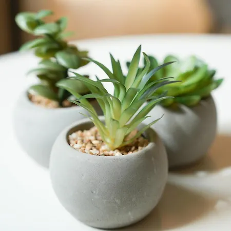 101-freiburg フライブルク