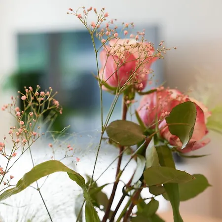 101-freiburg アパート