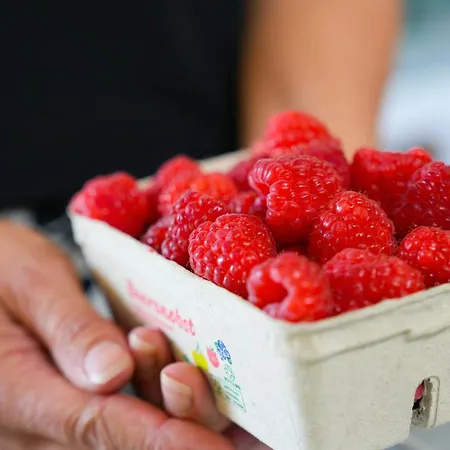 アパート 101-freiburg *