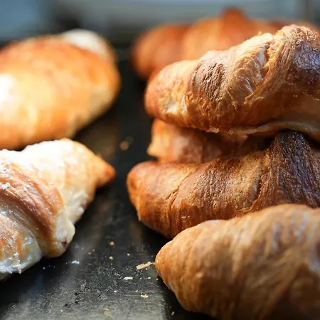 101-freiburg アパート フライブルク