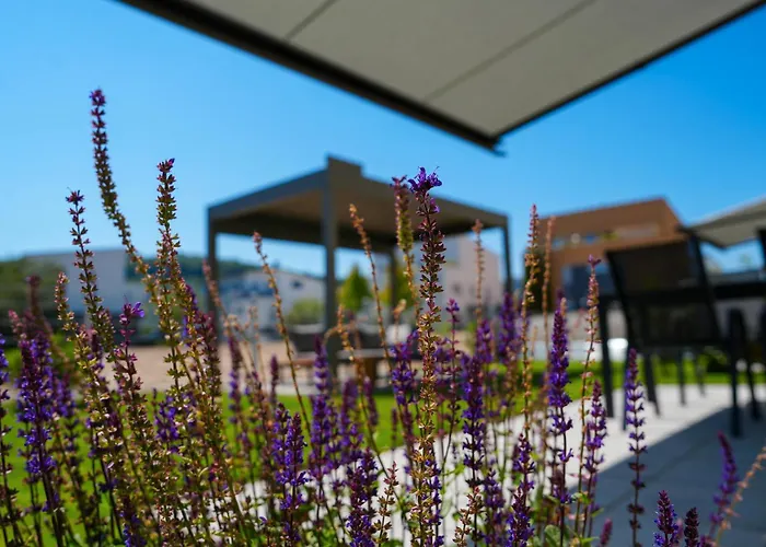 Daire 101-freiburg *